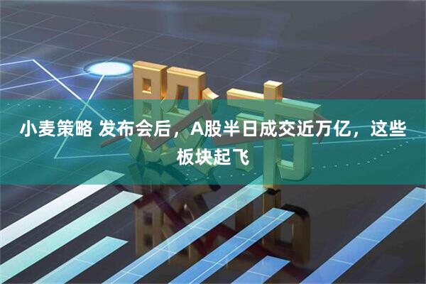 小麦策略 发布会后，A股半日成交近万亿，这些板块起飞