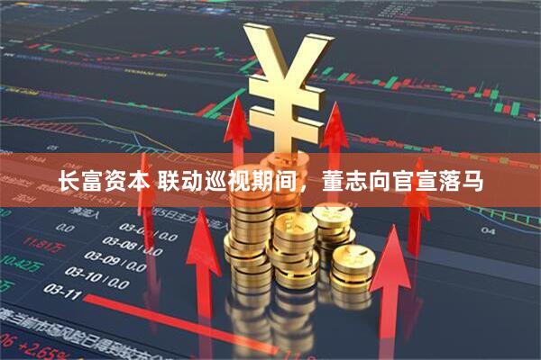 长富资本 联动巡视期间，董志向官宣落马
