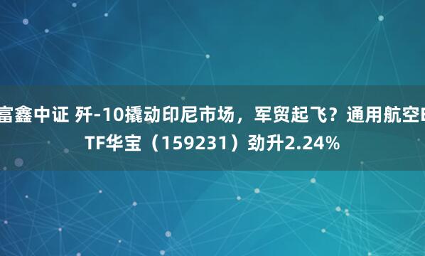 富鑫中证 歼-10撬动印尼市场，军贸起飞？通用航空ETF华宝（159231）劲升2.24%
