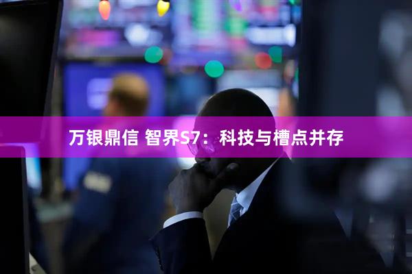 万银鼎信 智界S7：科技与槽点并存