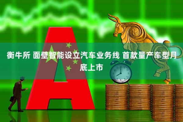 衡牛所 面壁智能设立汽车业务线 首款量产车型月底上市