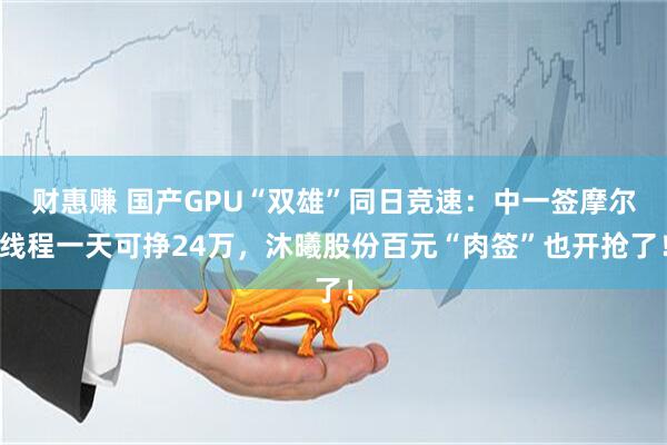 财惠赚 国产GPU“双雄”同日竞速：中一签摩尔线程一天可挣24万，沐曦股份百元“肉签”也开抢了！